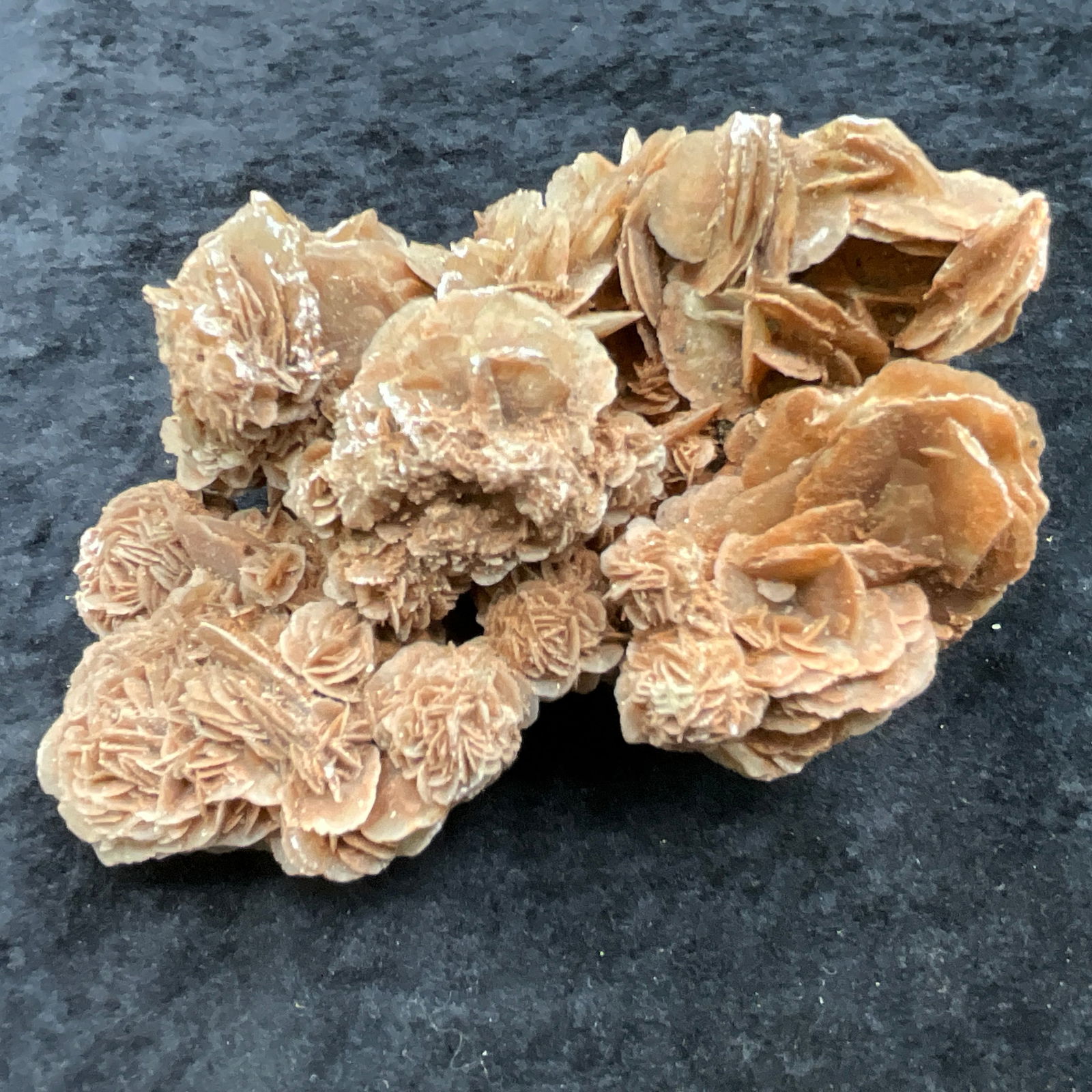 Large Desert Rose Selenite Crystal (1 of 3)