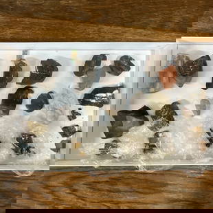 Rock and Fossil Collection: Rock and Fossil Collection- see photos.
