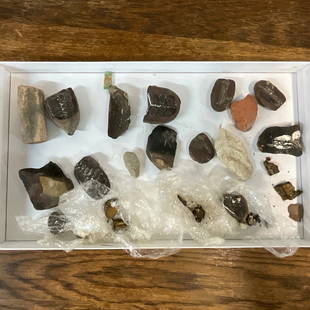 Rock and Fossil Collection: Rock and Fossil Collection- see photos.