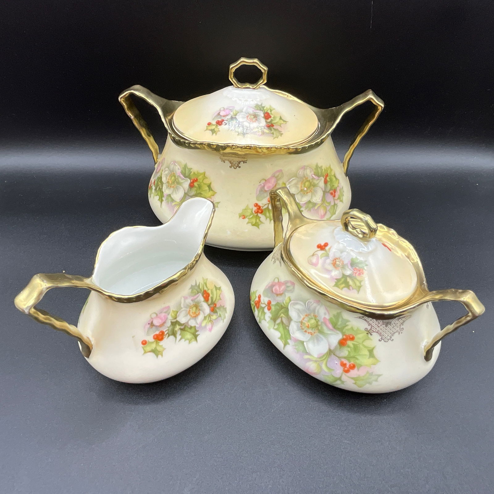 Prussia Christmas Rose (1 of 5)