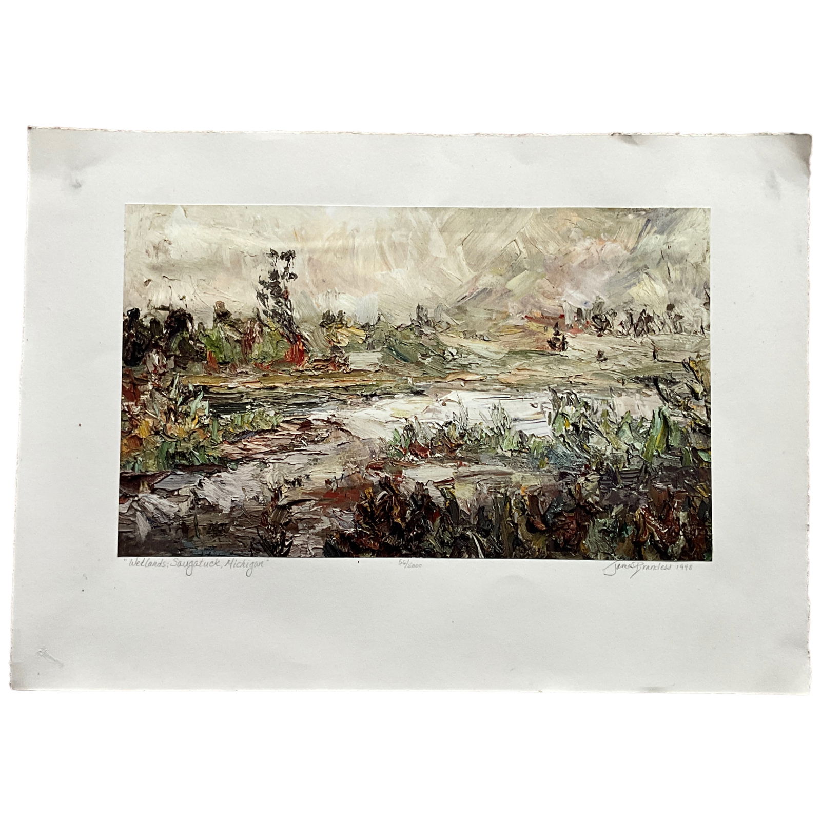 "Wetlands: Saugatuck, Michigan" Color Reproduction by James Brandess (1 of 6)