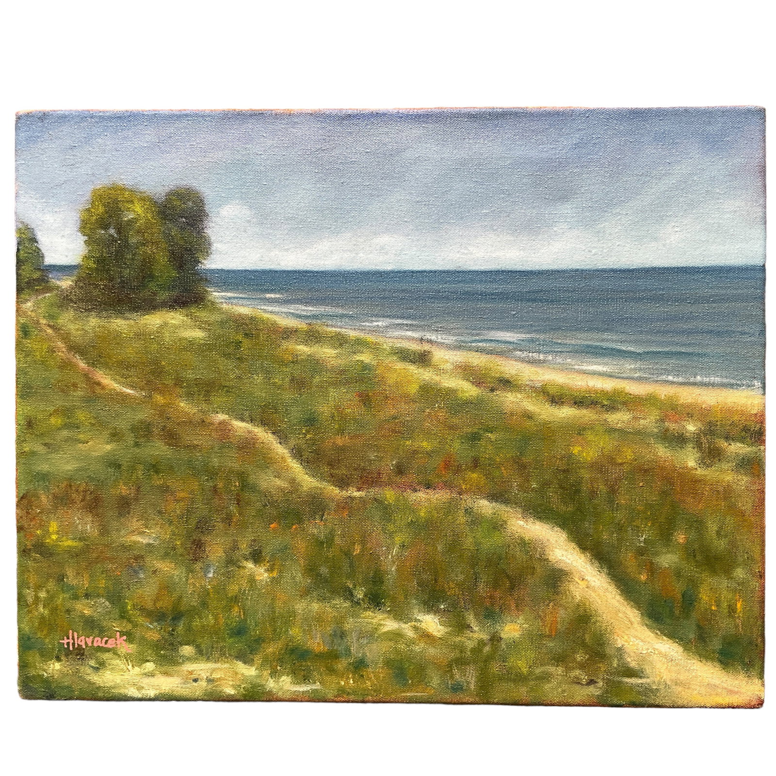 Tom Hlavacek, Oil on Canvas, Terra Andre: 2007 oil on canvas by Tom Hlavacek. Artwork is unframed and measures approx. 16" x 20" OA.
