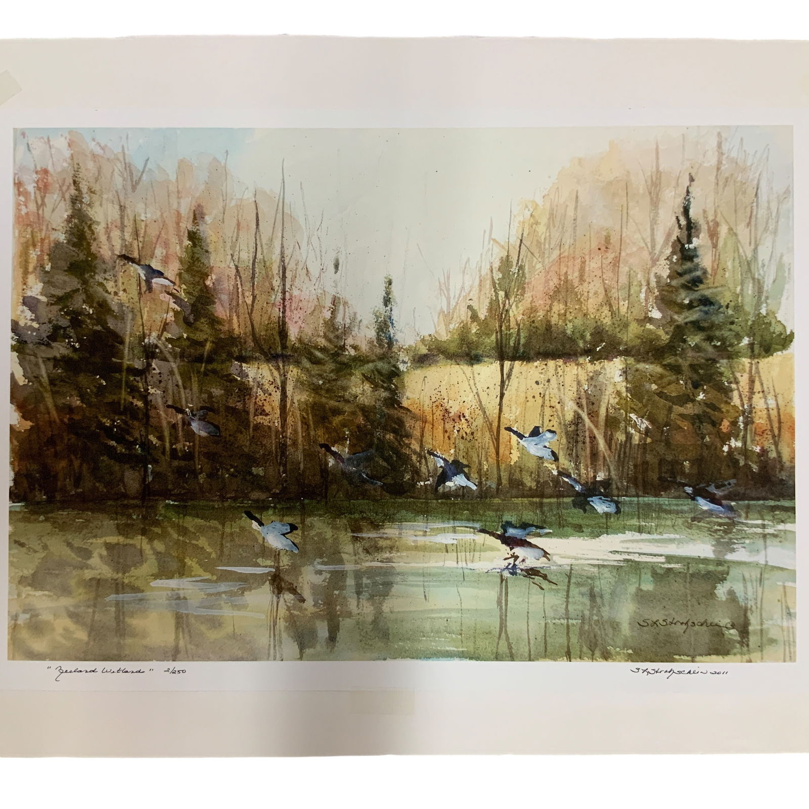 Sandra L Strohschein, Epson Giclee, Zeeland Wetlands (1 of 4)