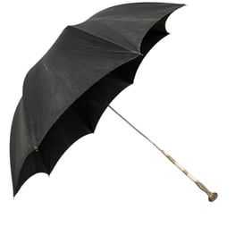 Victorian Umbrella