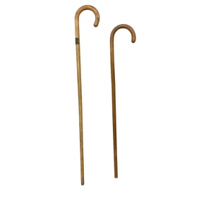 Two Vintage Canes, 1933 World's Fair