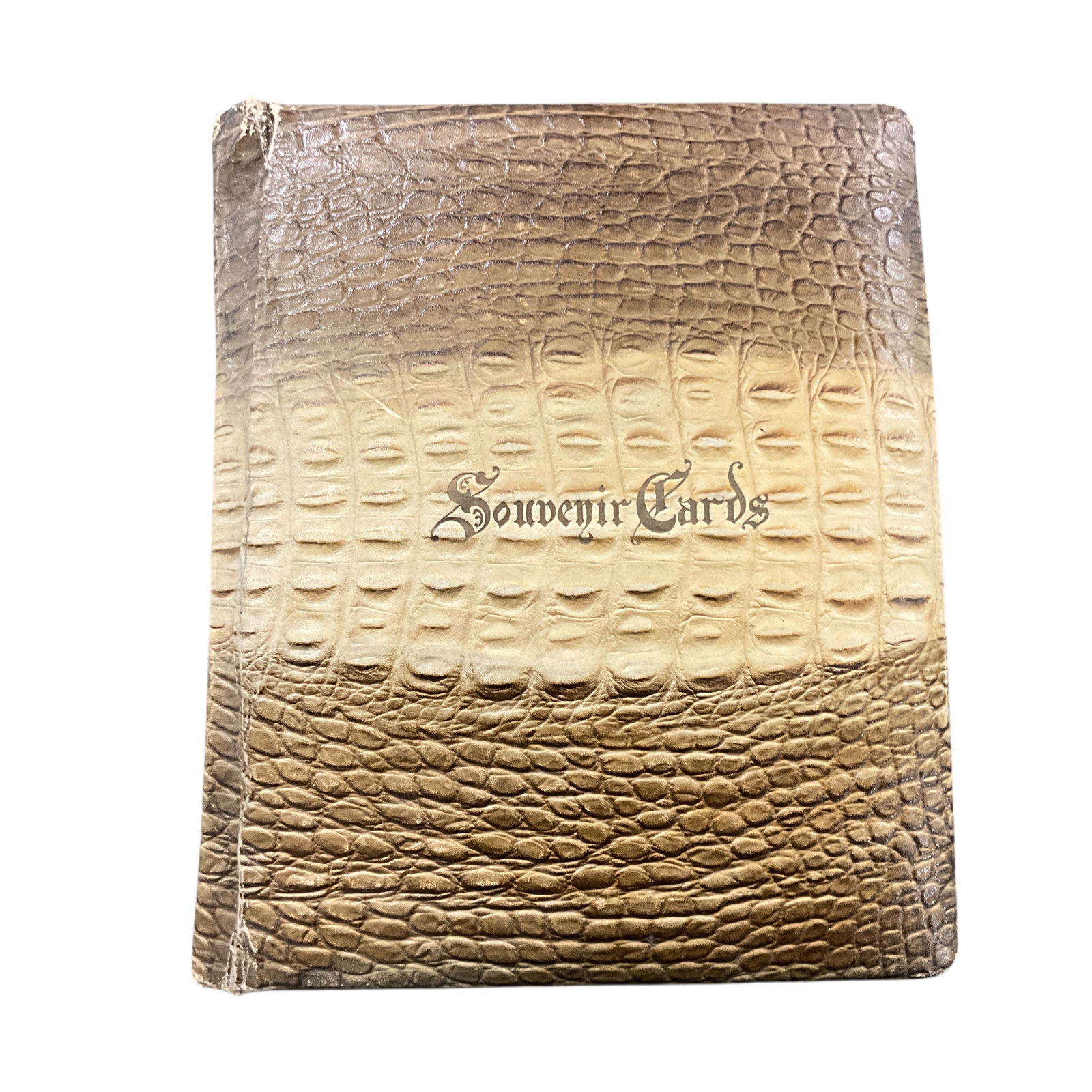 Large Postcard Album- Full (1 of 5)