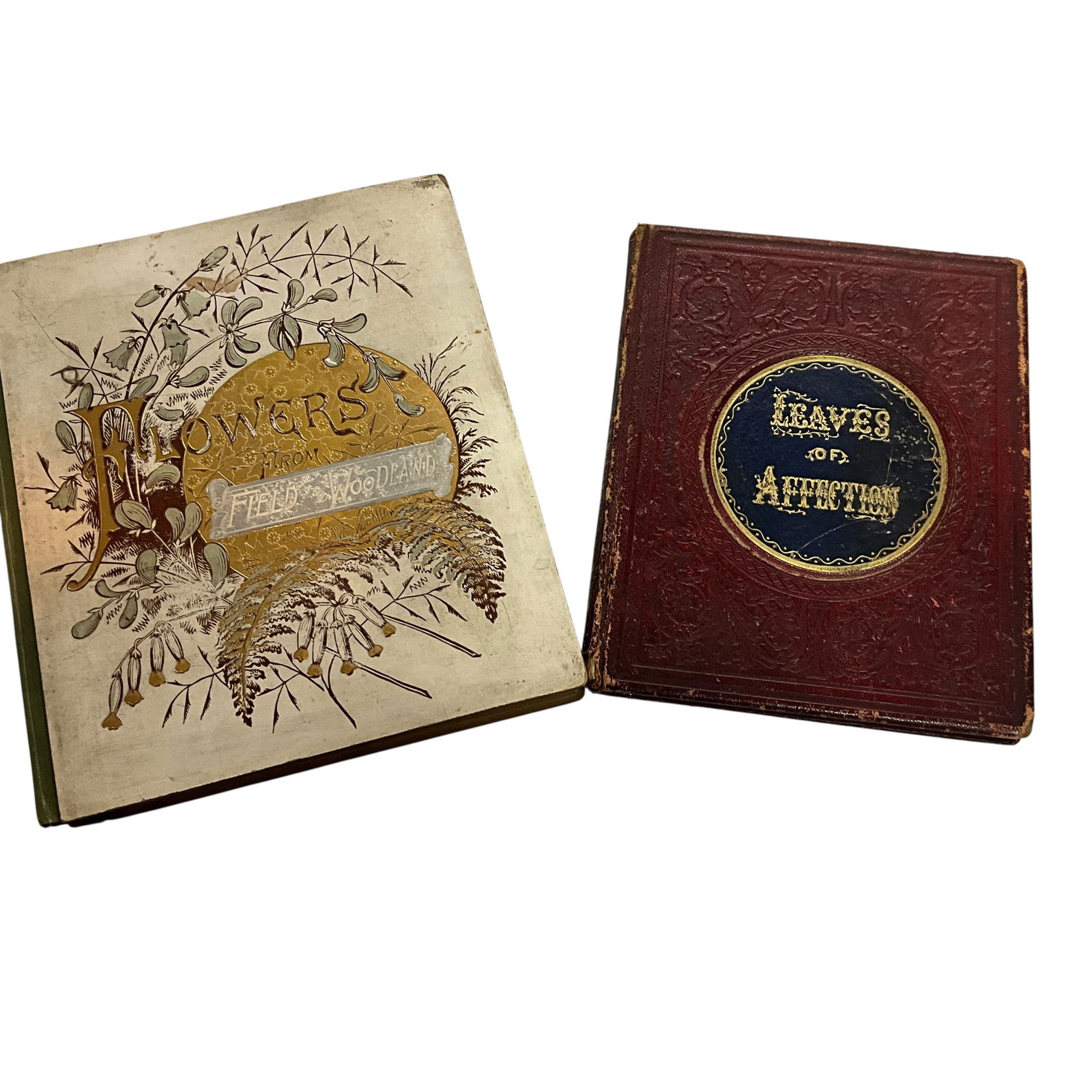A Victorian Autograph Book, and a Book of Poetry/Floral Illustrations (1 of 10)