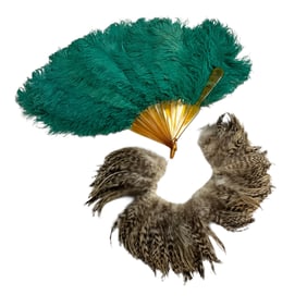 Feathered Collar and Fan