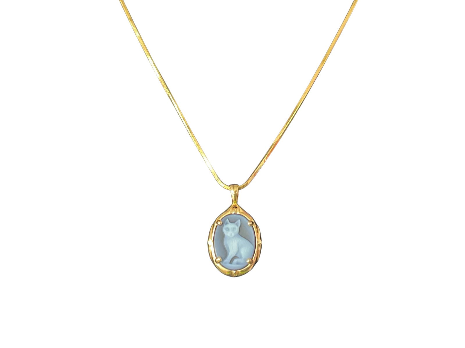 Blue Cat Cameo (1 of 5)