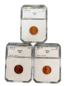 Lincoln Wheat Pennies-Graded