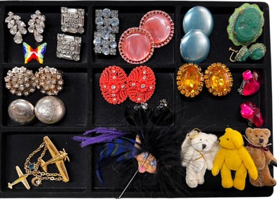 Funky Earrings and Pins