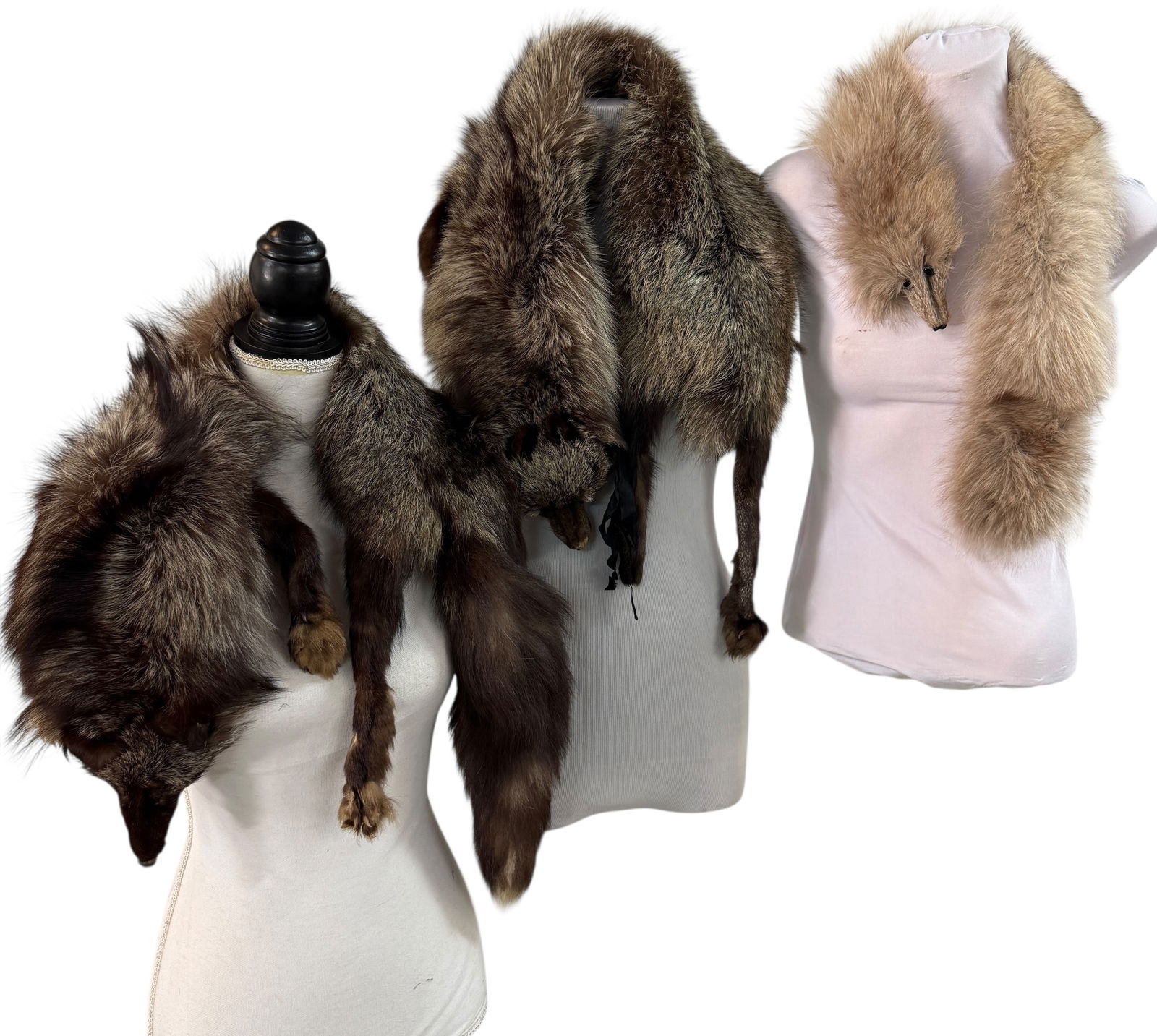 Three Full Body Fox Stoles (1 of 9)
