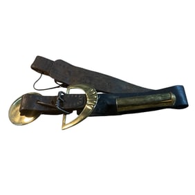 Horse Harness With Brasses