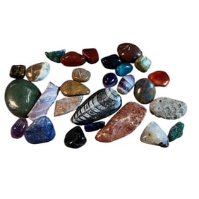 Lot of Polished Stones, Fossil