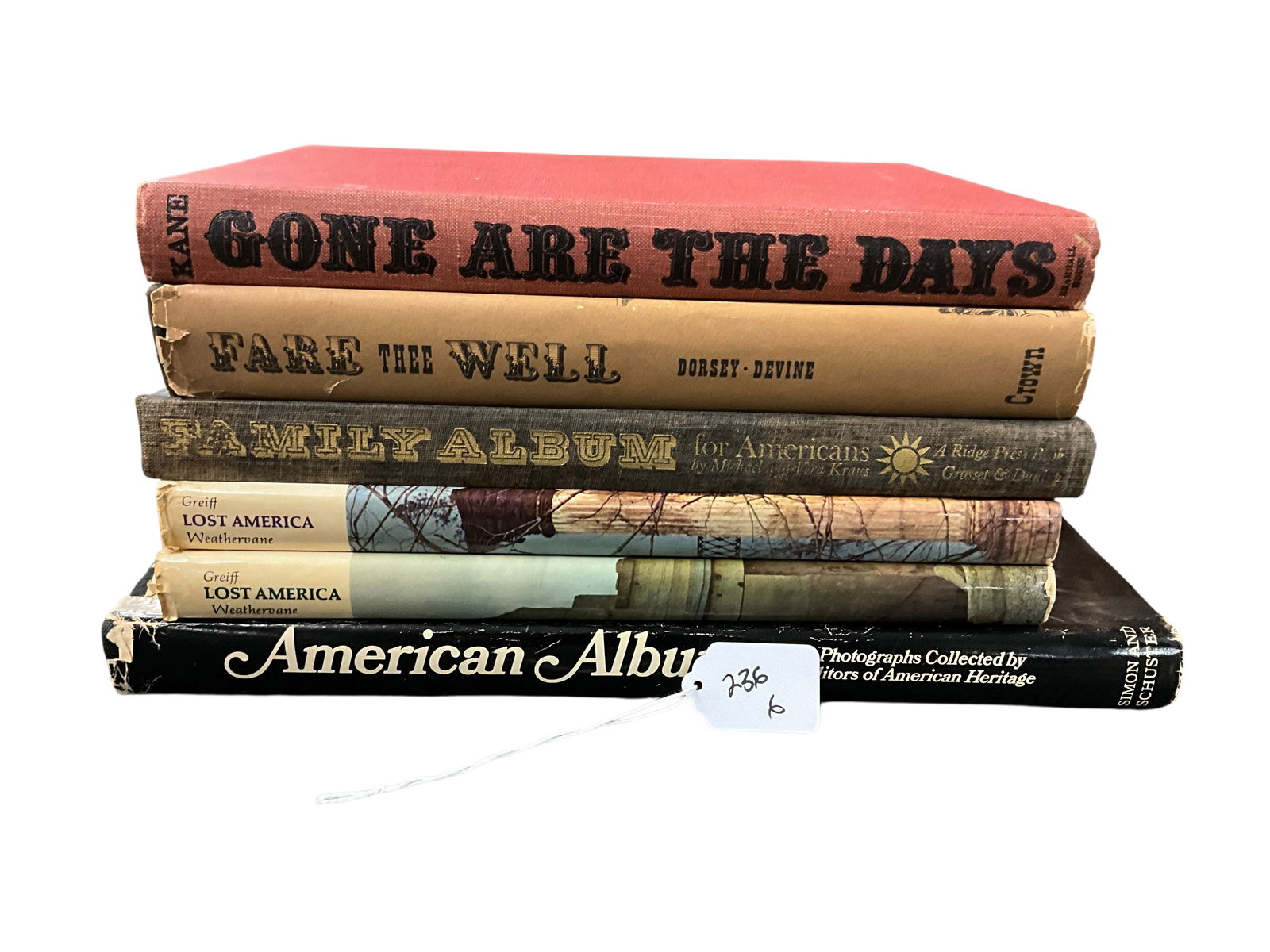 Book Lot- American Cultural History (1 of 5)