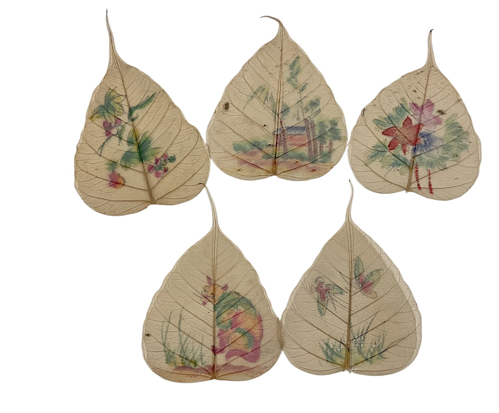 Chinese Peepal Leaf Art: Chinese Peepal Leaf Art. A group of five delicate hand painted Bodhi Tree leaves. Leaf painting has a long tradition in China and India, frequently associated with Buddhist temples, where Bodhi trees