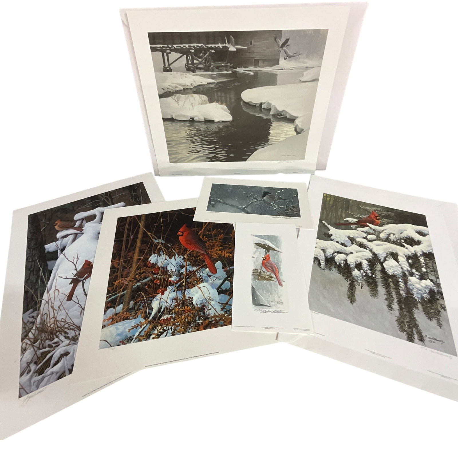 Group of Six Wild Bird Prints: Limited edition signed prints, by artists such as Robert Bateman, Scott Zoellner, and Jerry Gadamus. COA included