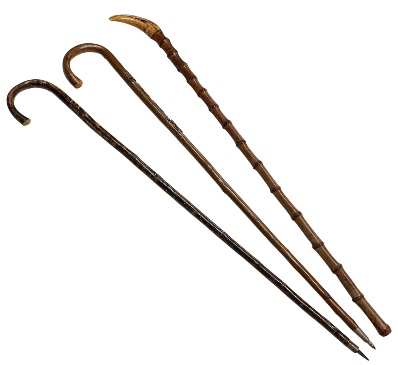 Collection of Antique & Vintage Walking Sticks Including Black Forest Carved Cane with Badges (1 of 6)