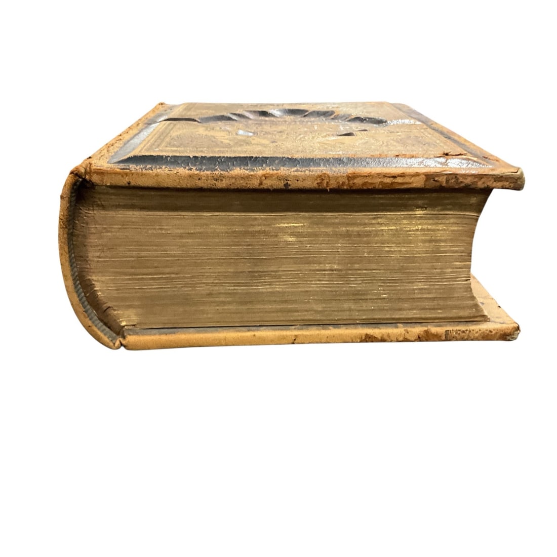 Victorian Parallel Bible with Leather Binding - 2