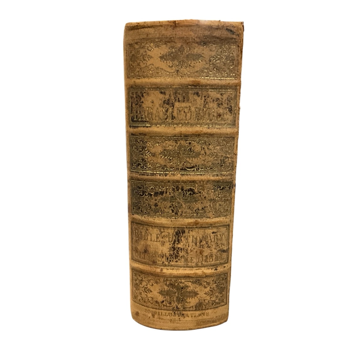 Victorian Parallel Bible with Leather Binding - 3