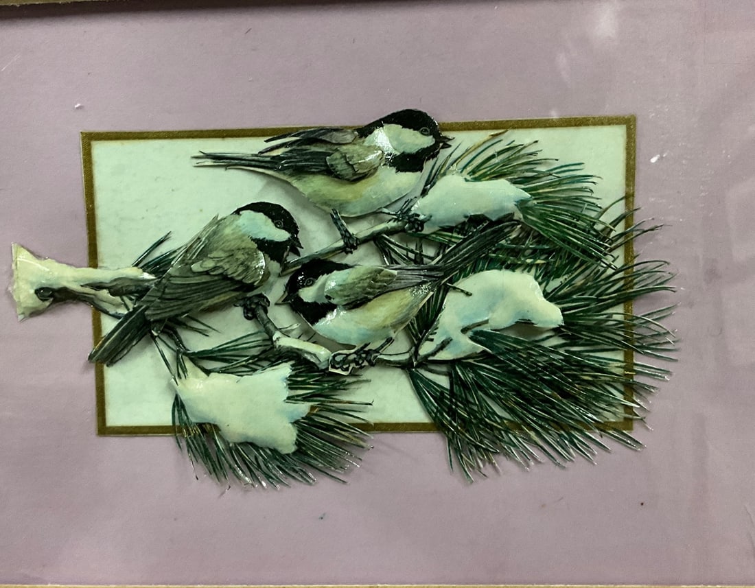 C.F. Strauman Framed Three-Dimensional Bird Study - 2
