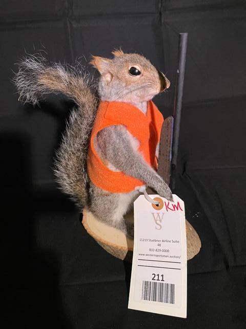 New Taxidermy, a HUNTING Grey Squirrel complete with (1 of 4)