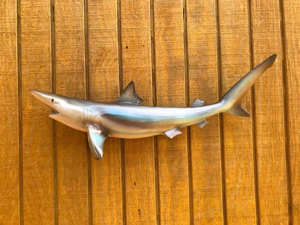 NEW 27" long Repro Sand SHARK FISH Mount, Taxidermy (1 of 3)