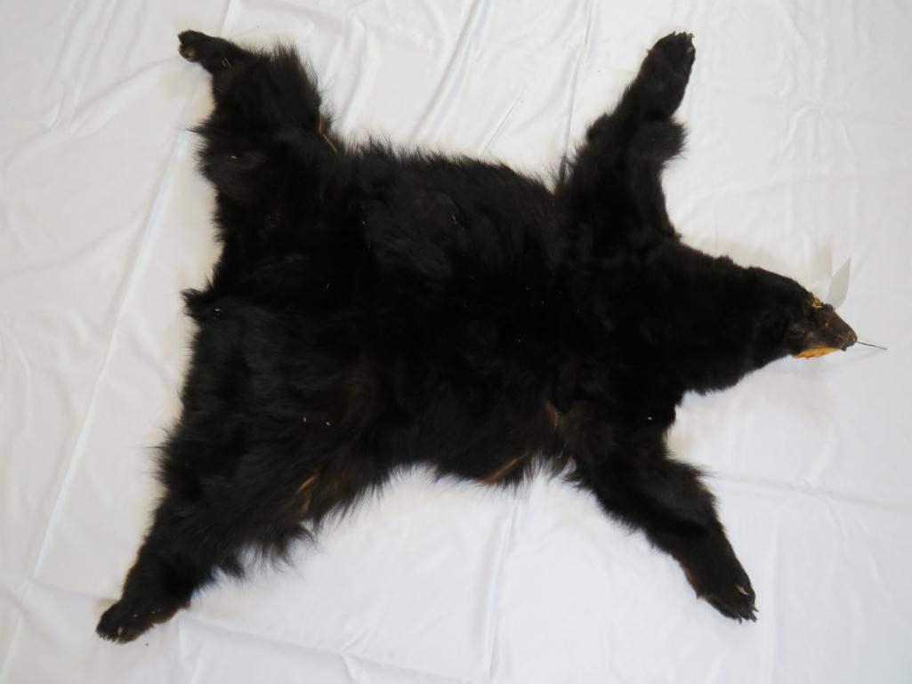 BLACK BEAR HIDE (1 of 2)