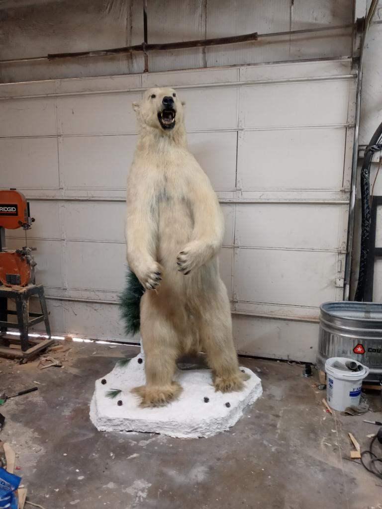 LIFESIZE STANDING POLAR BEAR ON BASE *US RES ONLY* (1 of 4)