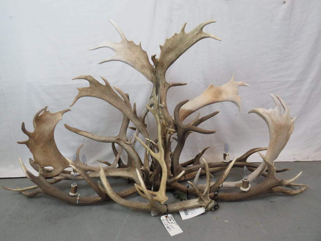 GORGEOUS FALLOW ANTLER CHANDELIER (1 of 3)