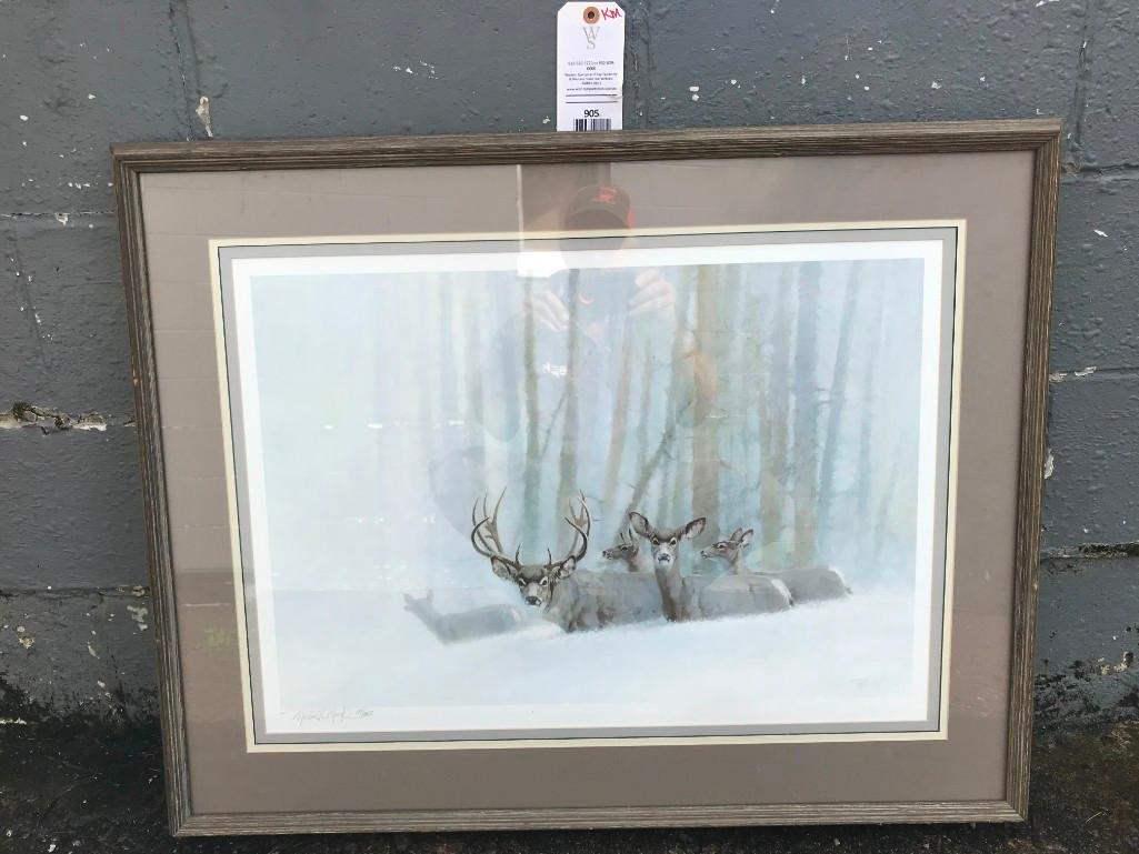 Beautiful Limited Edition MULE DEER framed print signed (1 of 4)