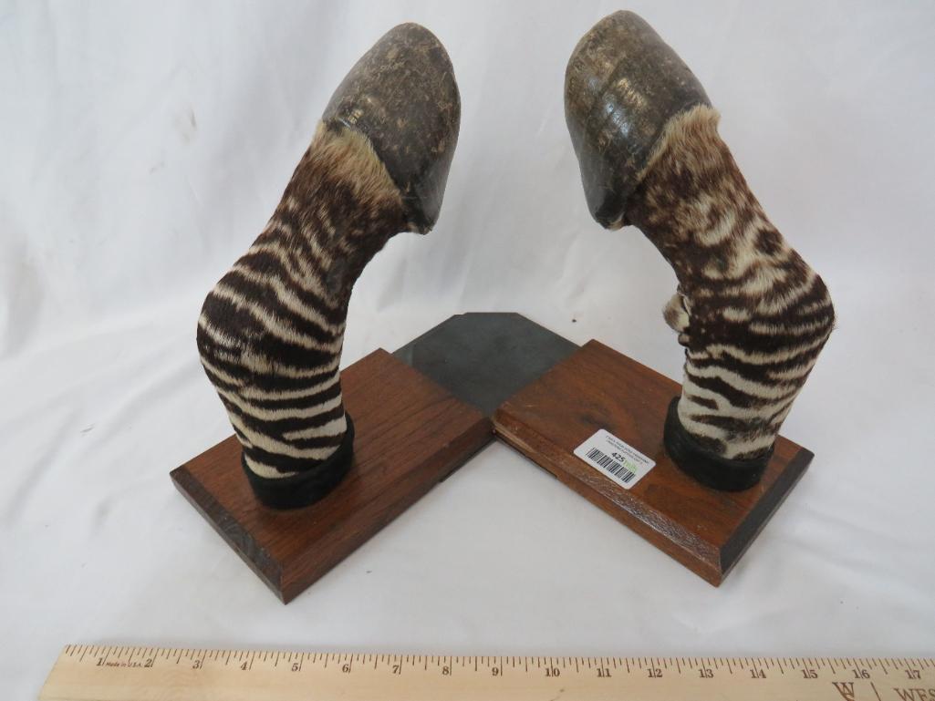 PAIR OF ZEBRA HOOF BOOKENDS (ONE$) TAXIDERMY (1 of 4)