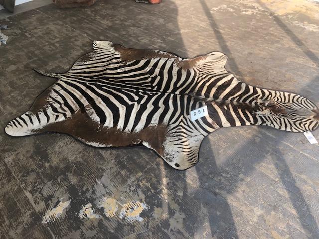 VINTAGE ZEBRA RUG TAXIDERMY (1 of 1)