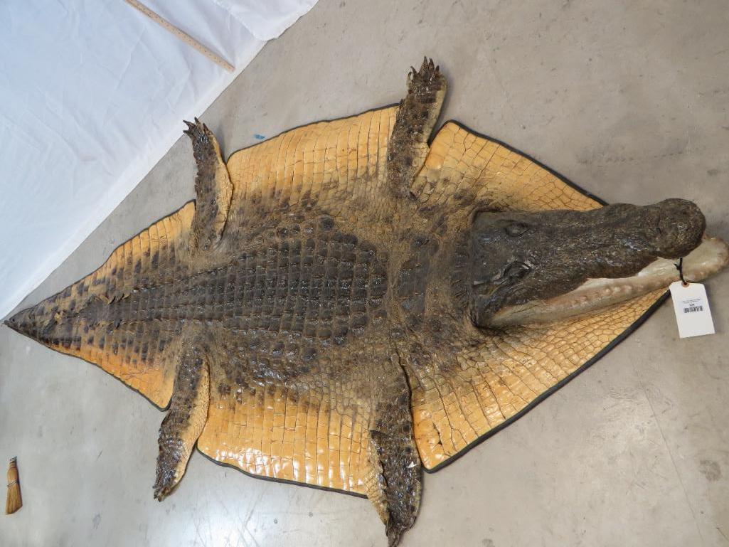 AWESOME ALLIGATOR RUG W/MOUNTED HEAD TAXIDERMY (1 of 5)