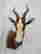 item-112954252=2