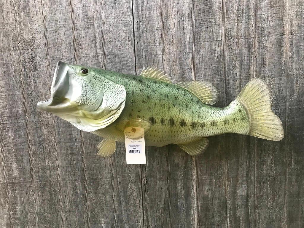 HUGE - 16 LB. REPRO Largemouth Bass fish mount - NEW (1 of 4)