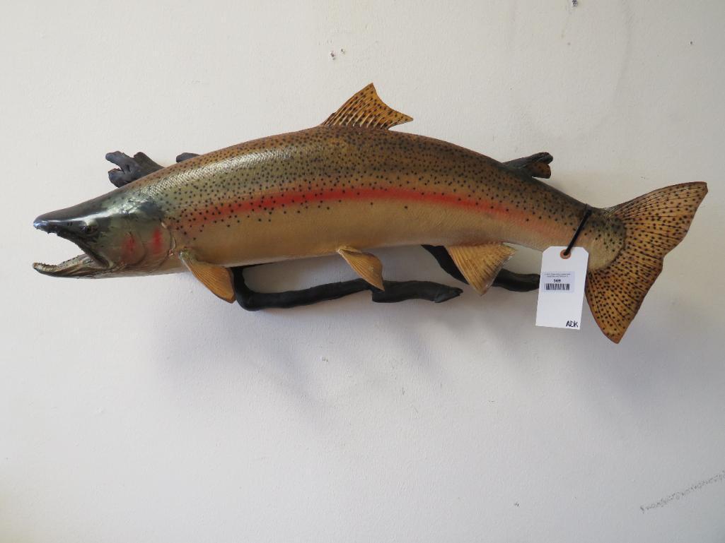 Real Skin Fish Mt TAXIDERMY (1 of 5)