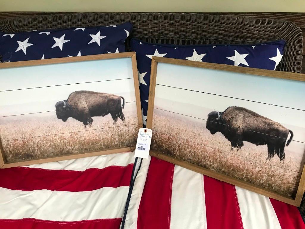 Two North American Bison-Buffalo pictures 23 inches (1 of 3)