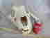 item-130830299=2