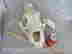 item-130830299=3