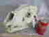 item-130830299=4