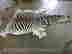item-130830431=4