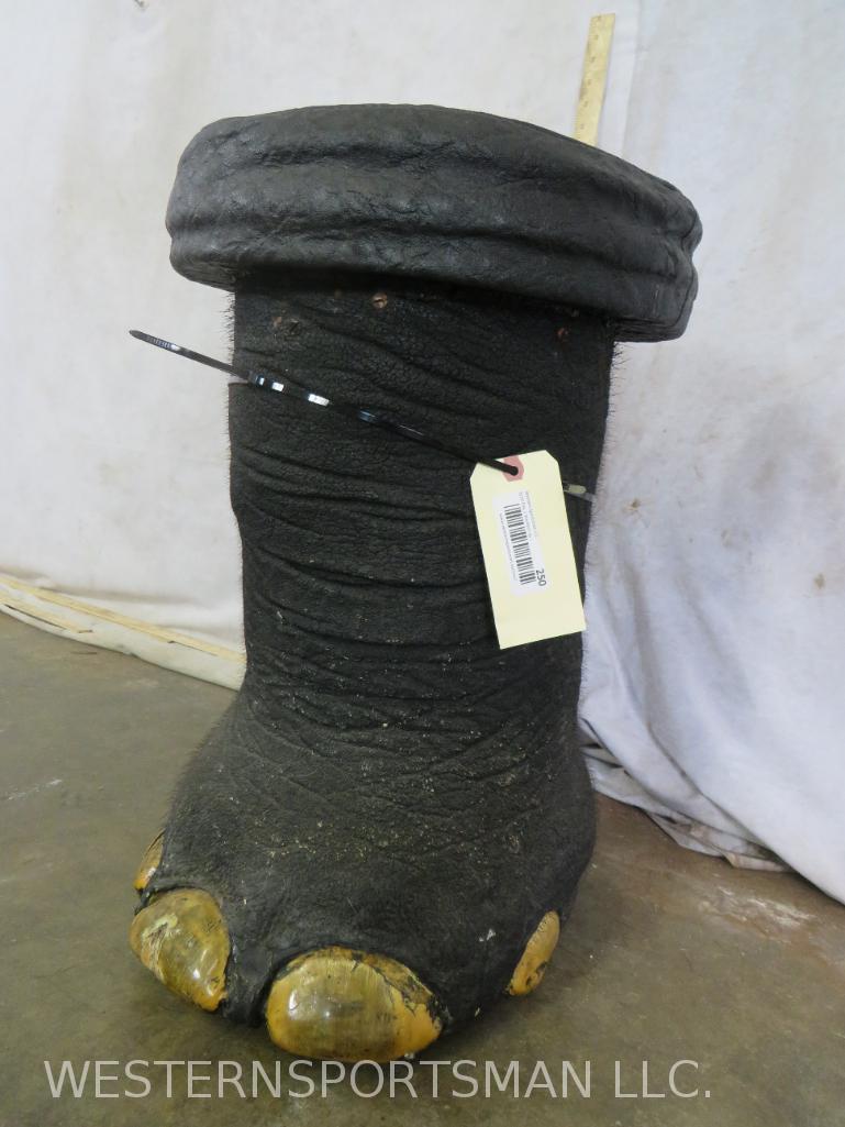 ELEPHANT FOOT STOOL W/ELEPHANT HIDE TOP *US RESIDENTS ONLY*  TAXIDERMY (1 of 4)