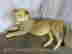 item-130855254=3