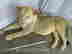 item-130855254=4