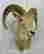 item-130855260=3