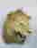 item-130855349=5