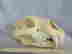 item-130855410=5