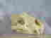 item-130855410=6