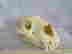 item-130855410=7